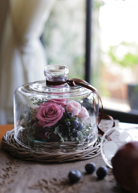 Preserved Flowers